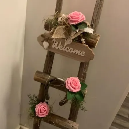 Poreamme Ja Koristetakkakaksio *
